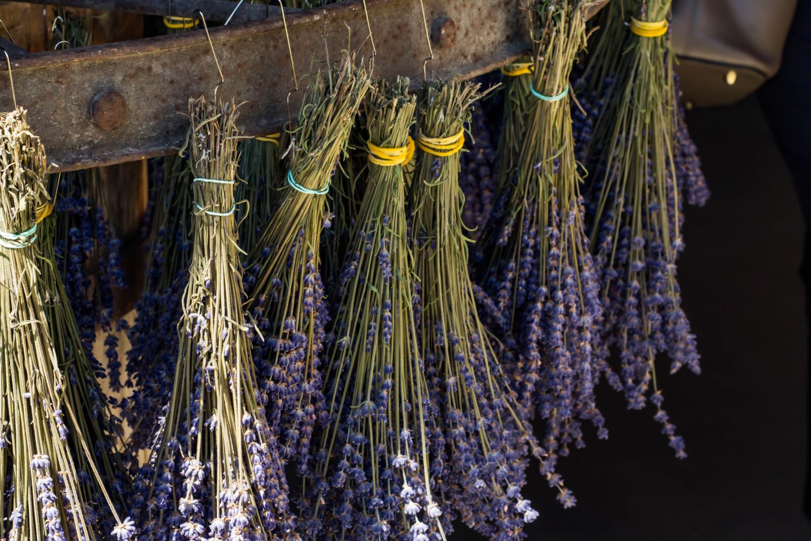 Canon EOS 60D sample photo. Lavender, grass, harvest photography