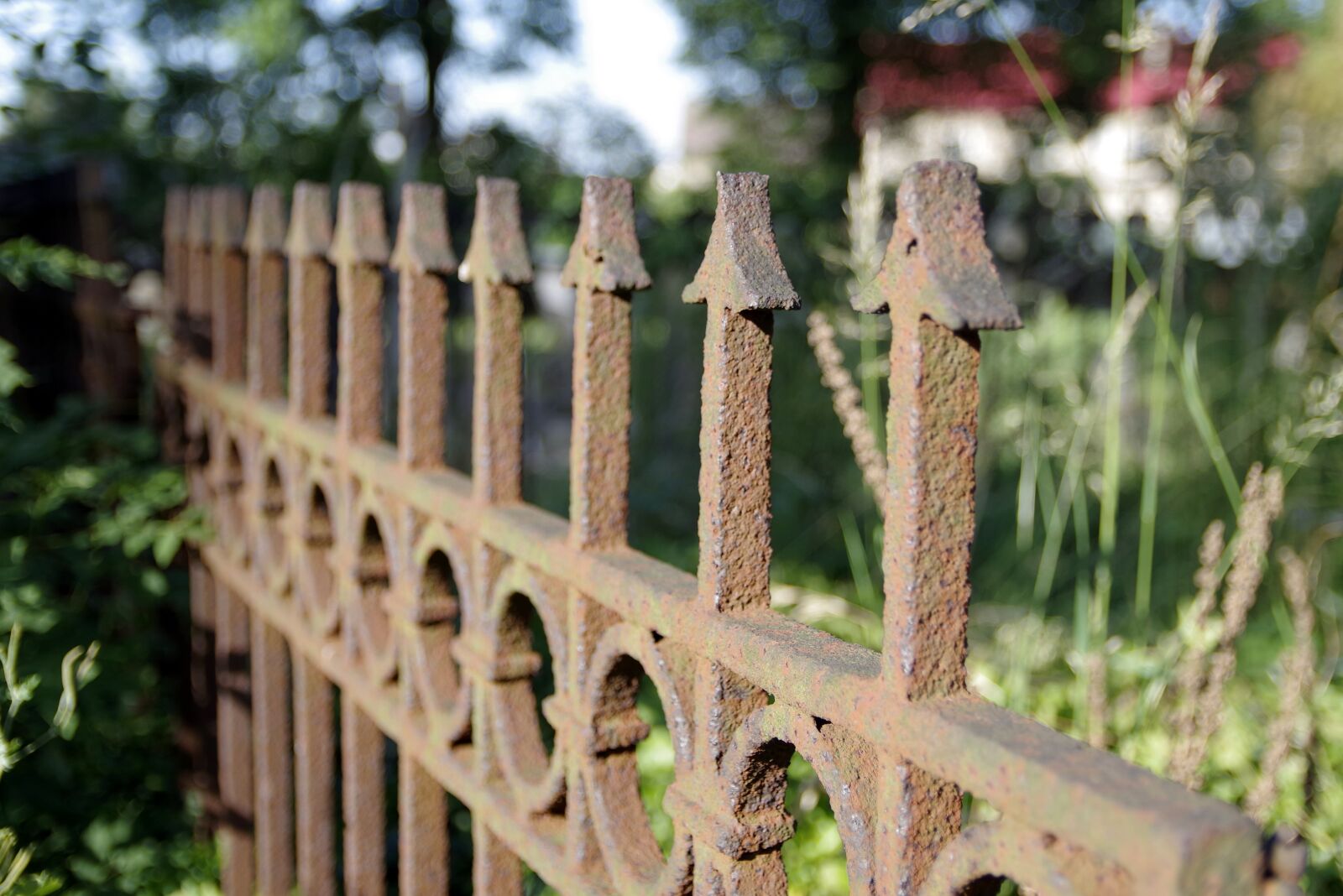 Pentax K-S2 sample photo. Fencing, accessory, the fence photography