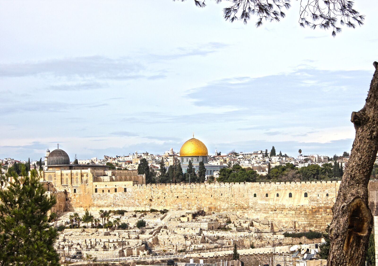 Canon EOS 550D (EOS Rebel T2i / EOS Kiss X4) sample photo. City, jerusalem, israel photography