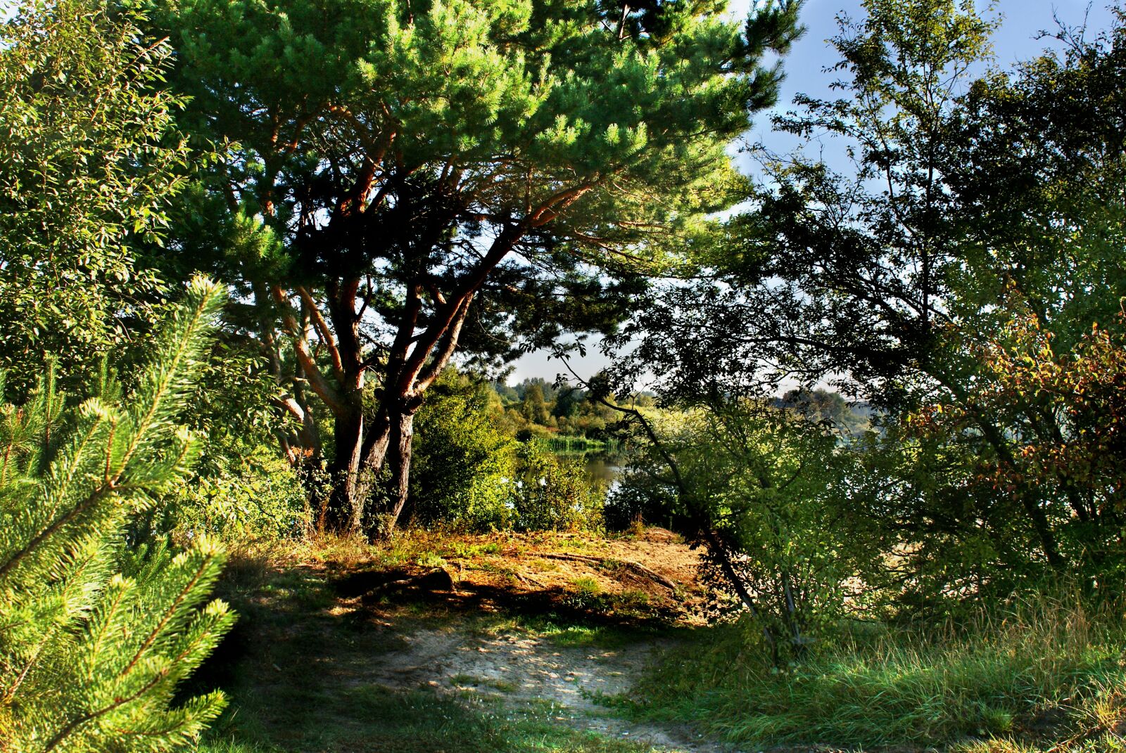 Sony Alpha DSLR-A200 sample photo. Author, skibka, photo photography