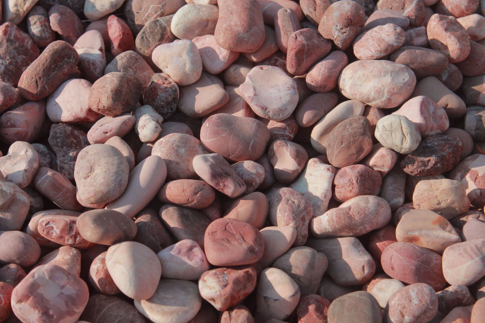 Canon EOS 1100D (EOS Rebel T3 / EOS Kiss X50) sample photo. Stone, nature, ornamental photography