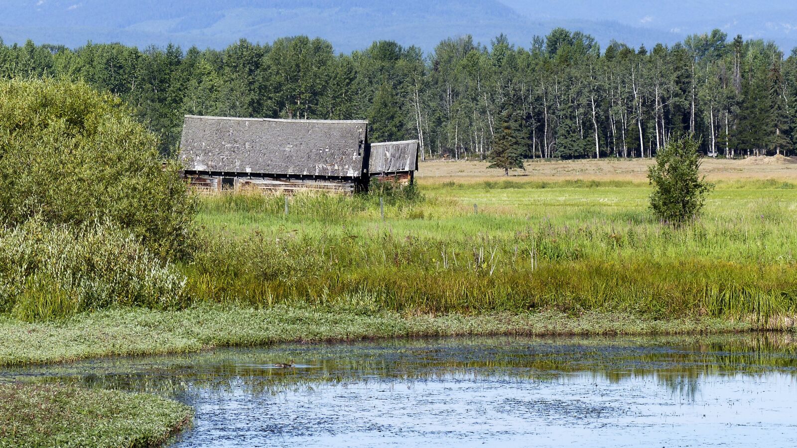 Panasonic Lumix DMC-FZ200 sample photo. Barn, farmland, rural photography