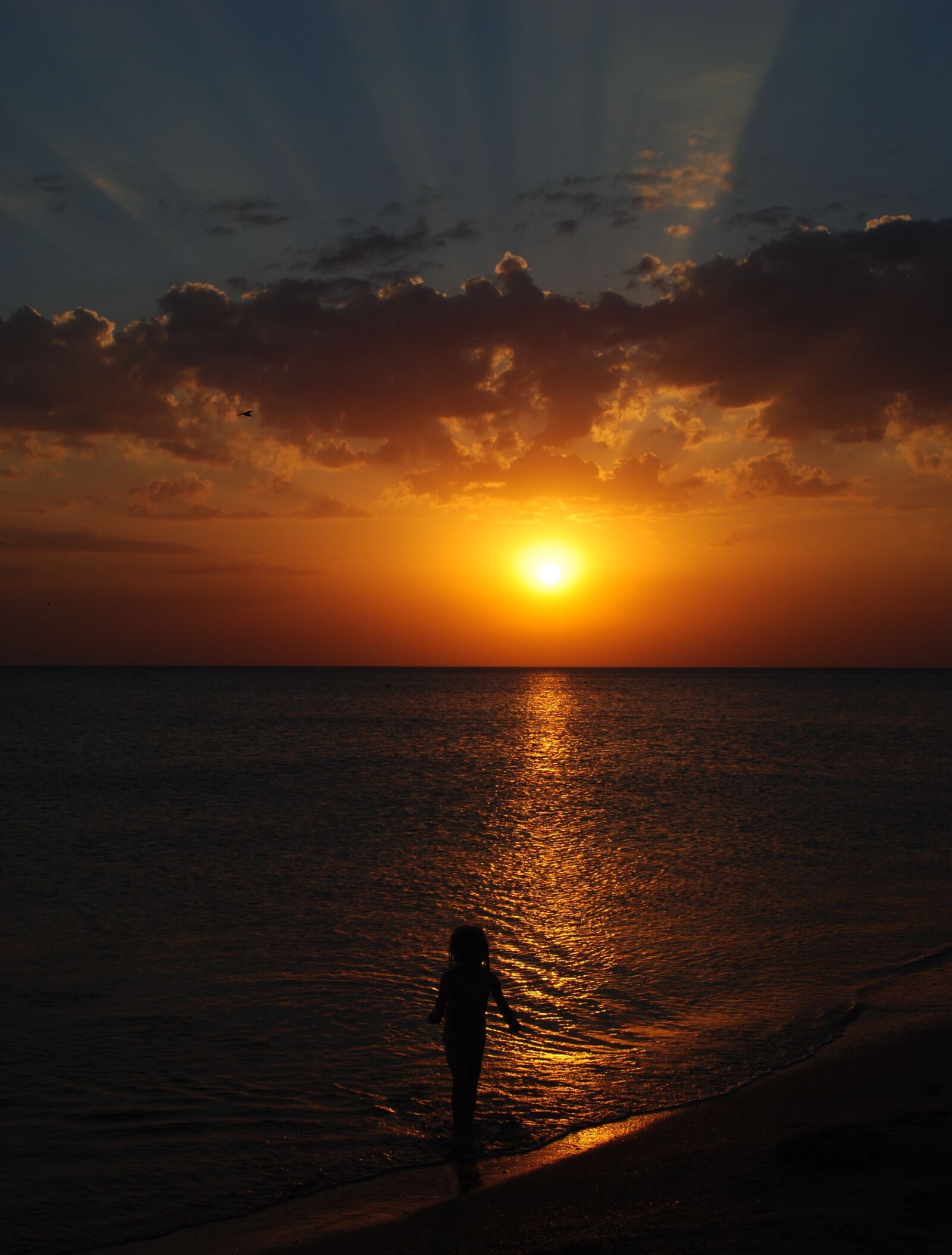 Nikon D3000 sample photo. Sunset, dawn, twilight photography