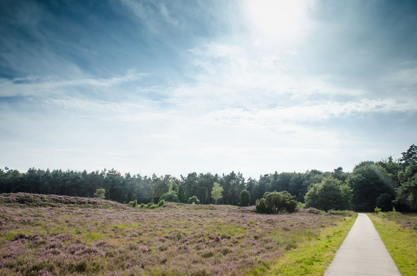Nikon D7000 sample photo. Dutch, nature, holland photography