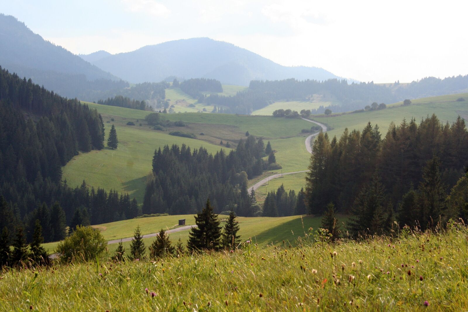 Canon EOS 350D (EOS Digital Rebel XT / EOS Kiss Digital N) sample photo. Nature, slovakia, country photography