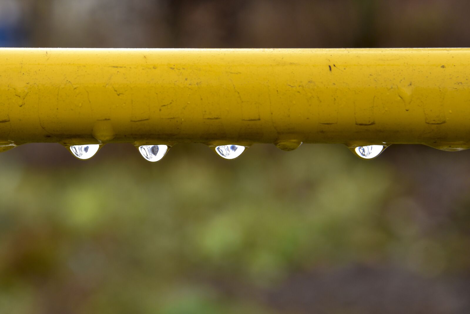 Nikon D750 sample photo. Drops, rain, trumpet photography
