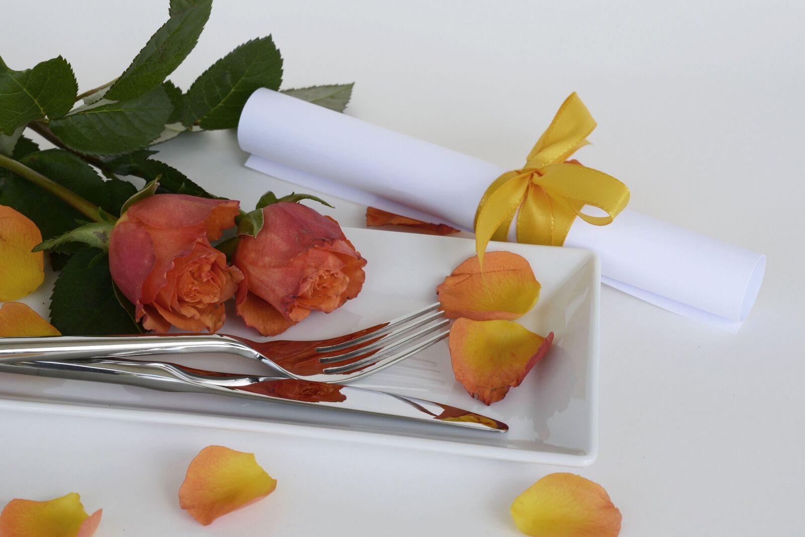 Nikon D7100 sample photo. Roses, rose flower, flowers photography