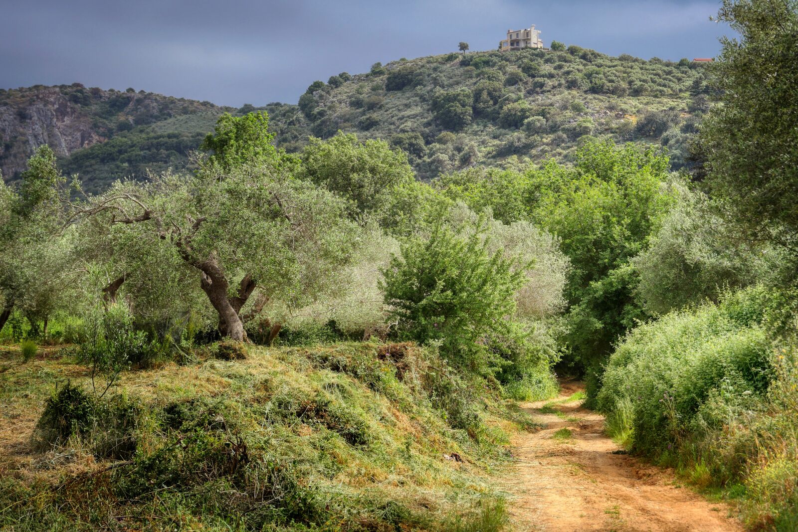 Panasonic Lumix DMC-GX8 sample photo. Walk, hiking, crete photography