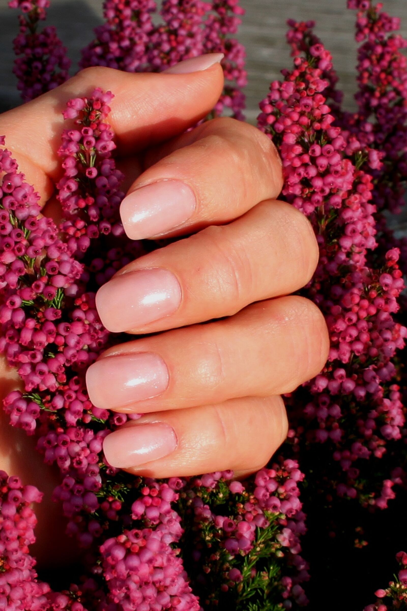 Canon EOS 500D (EOS Rebel T1i / EOS Kiss X3) sample photo. Fingernails, baby boomers, manicure photography