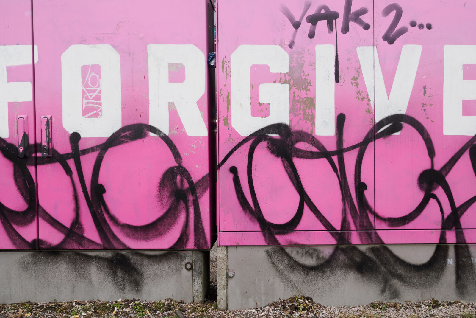 OM System OM-1 Mark II sample photo. Forgive graffiti photography