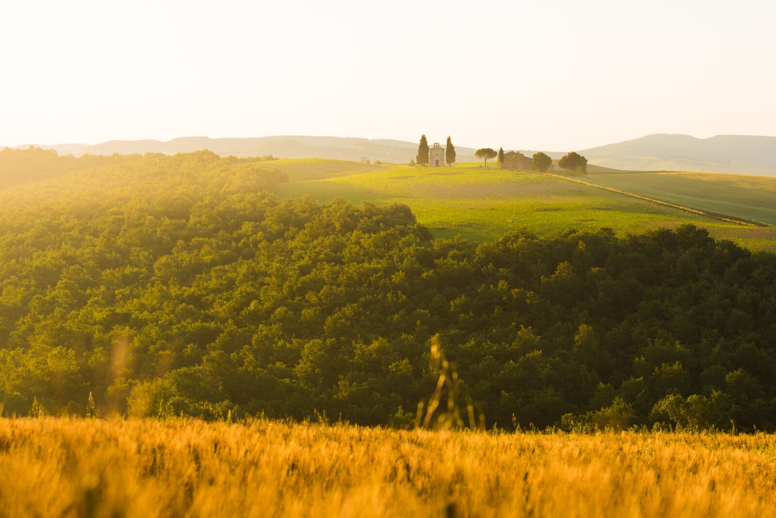 Nikon D750 sample photo. Agriculture, field, landscape photography