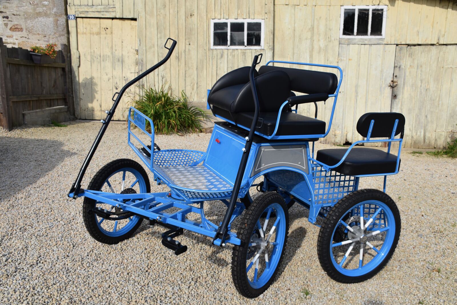 Nikon D5600 sample photo. Carriage, walks, horse transport photography
