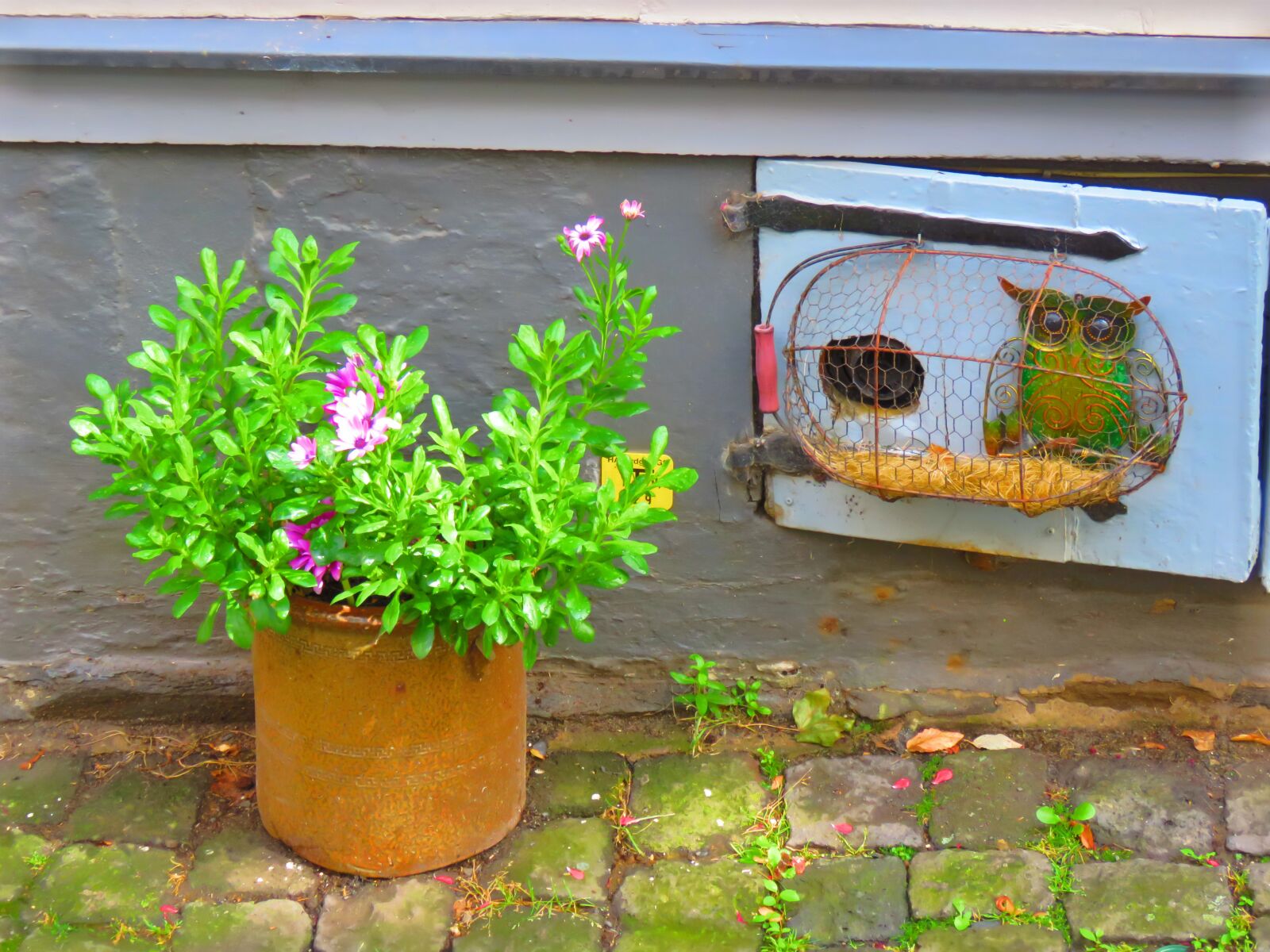 Canon PowerShot SX60 HS sample photo. Plant, art, owl photography
