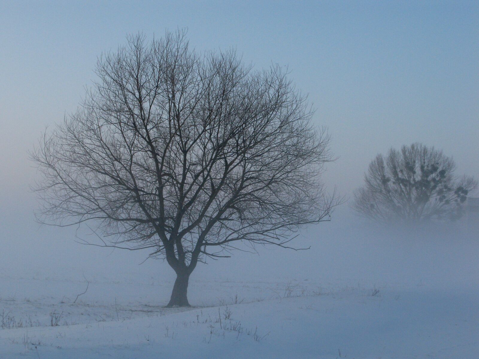 Canon POWERSHOT G9 sample photo. Winter, fog, mysterious photography