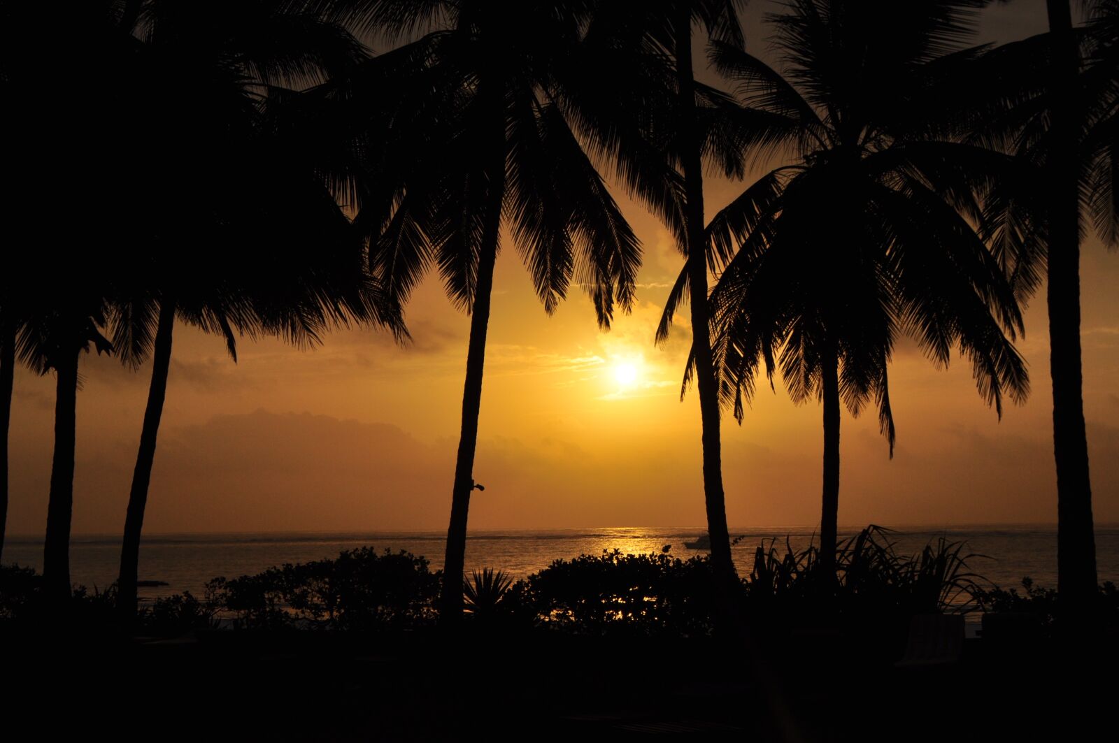 Nikon D5000 sample photo. Beach, coast, sand photography