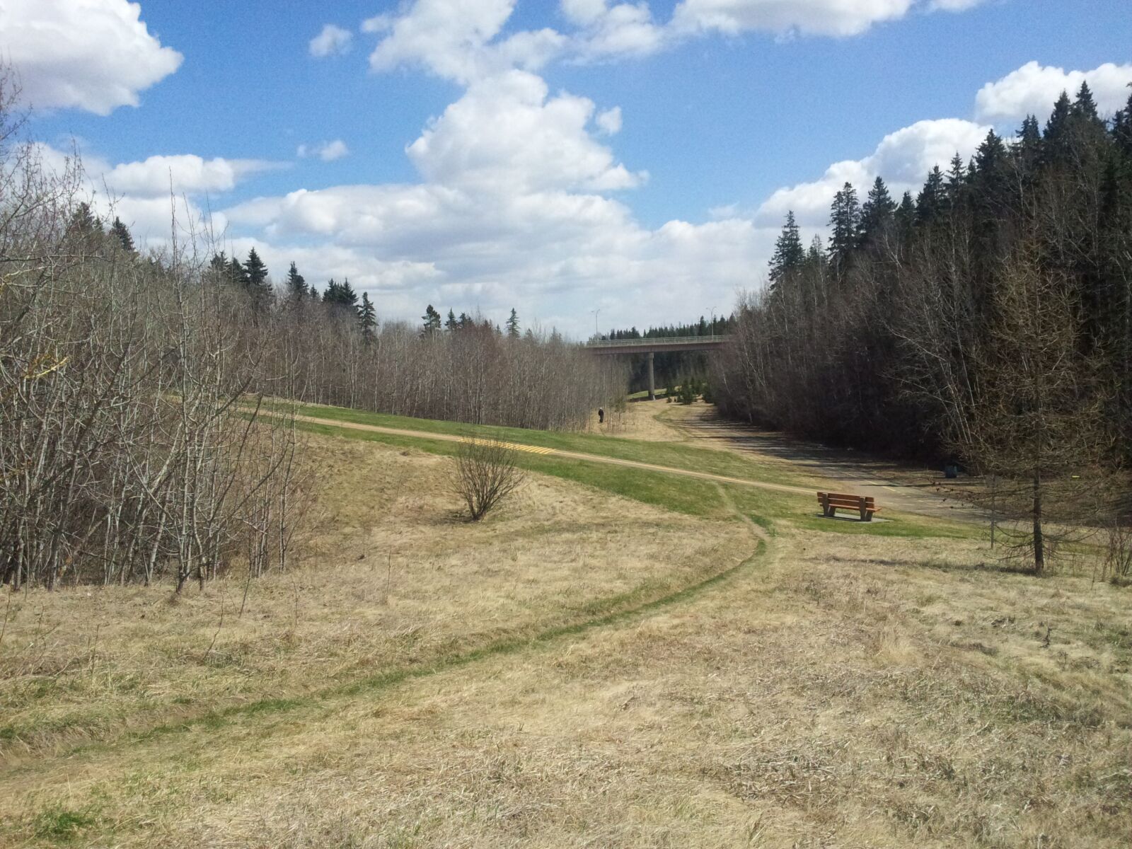Samsung Galaxy S2 sample photo. Landscape, prairies, park photography