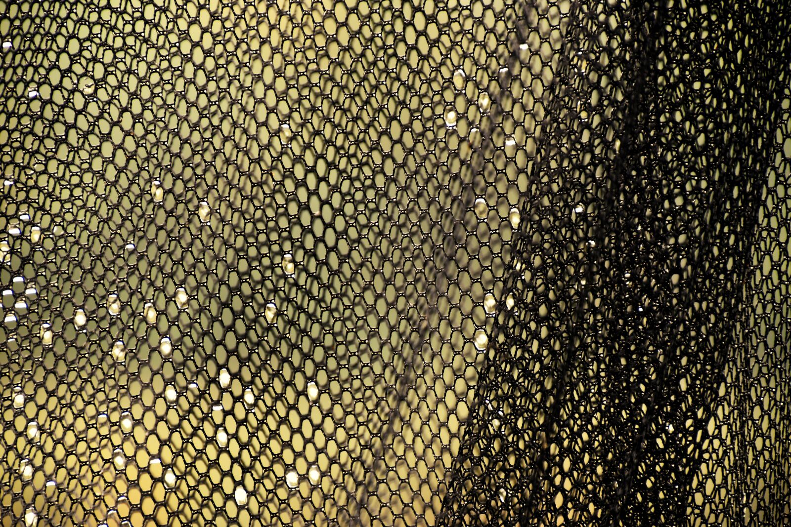 Nikon D7500 sample photo. Net, fishing net, fishing photography