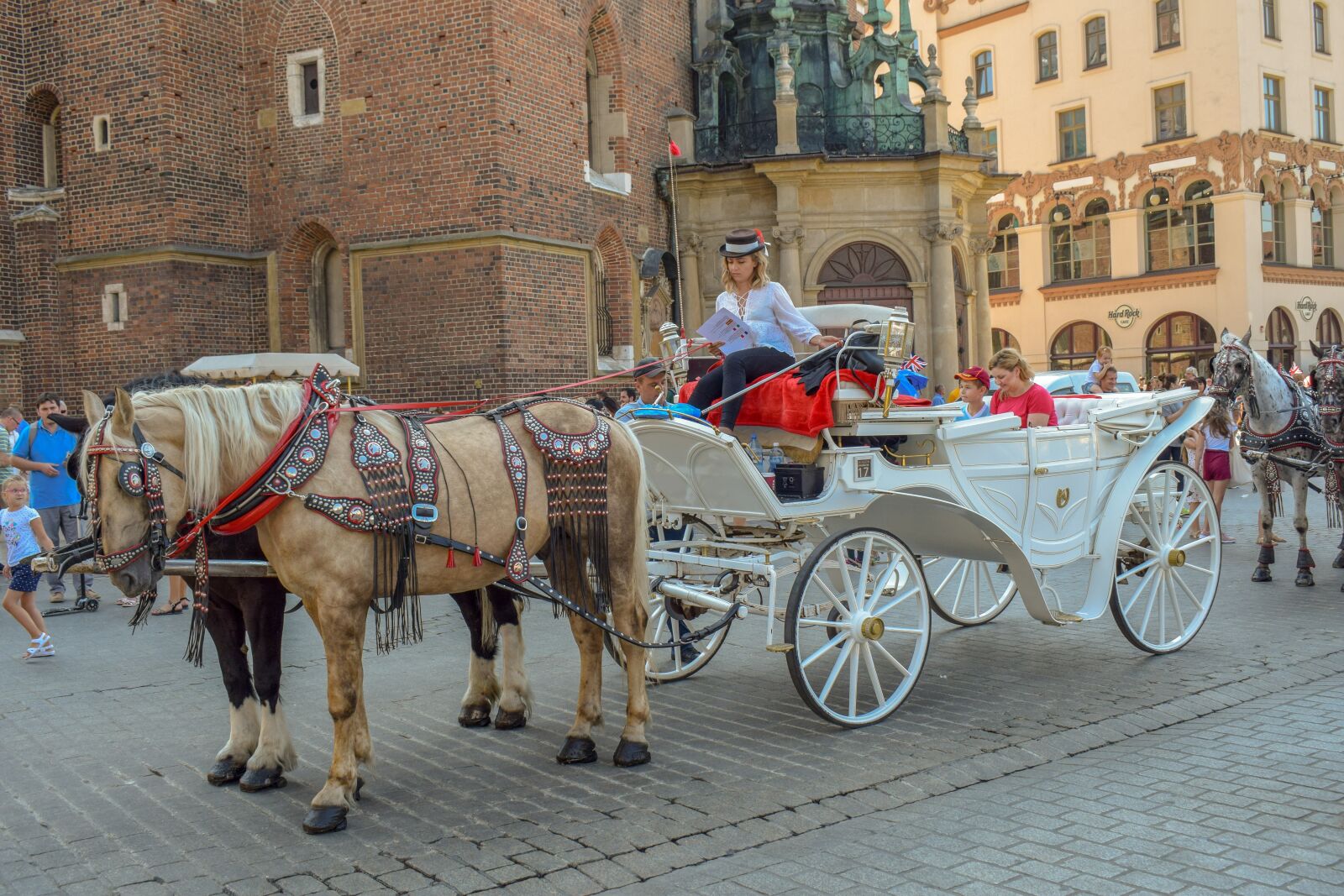 Nikon D3300 sample photo. Carriage, horses, girl photography