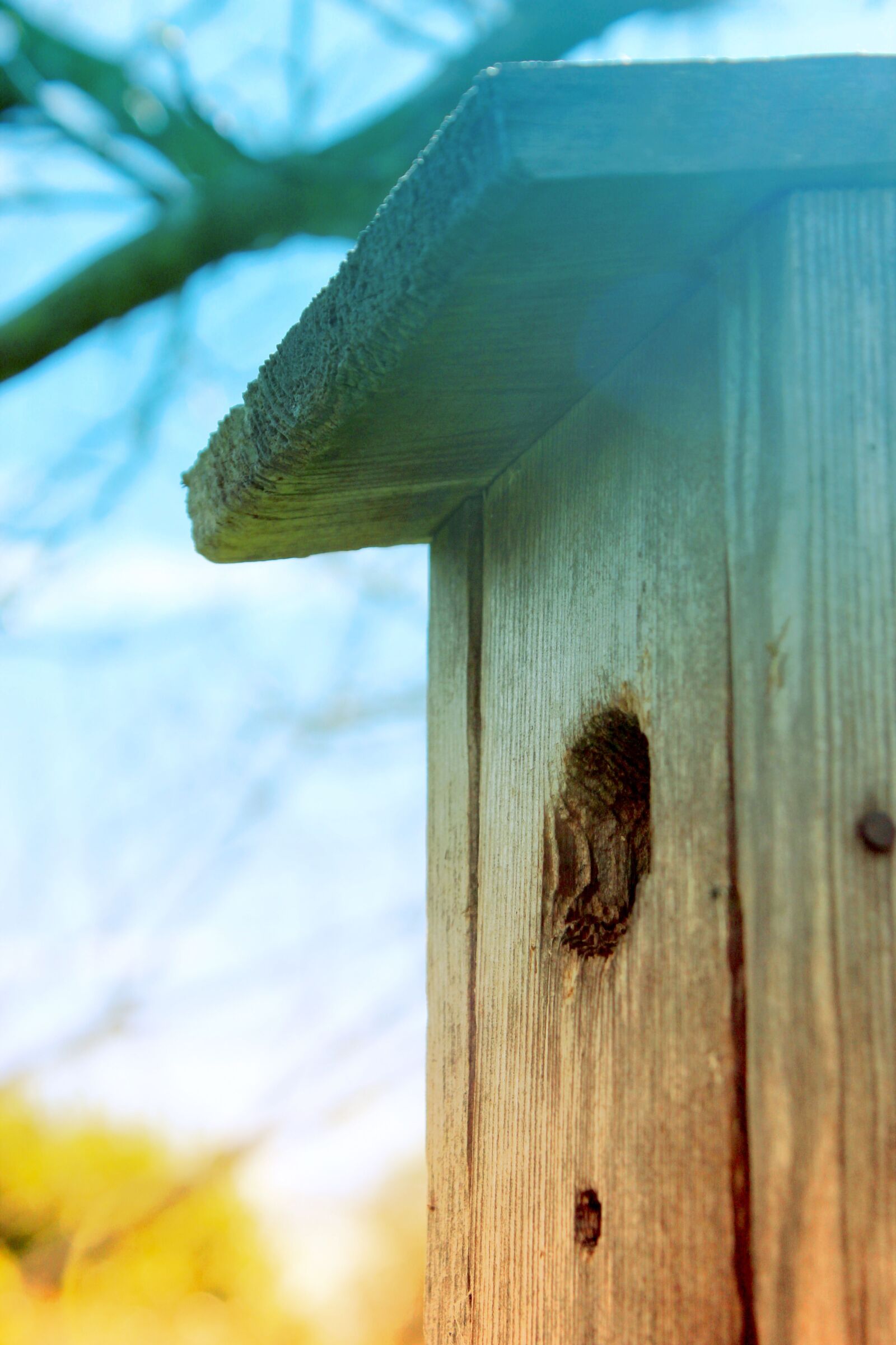 Canon EOS 600D (Rebel EOS T3i / EOS Kiss X5) sample photo. Bird, birdhouse, summer photography