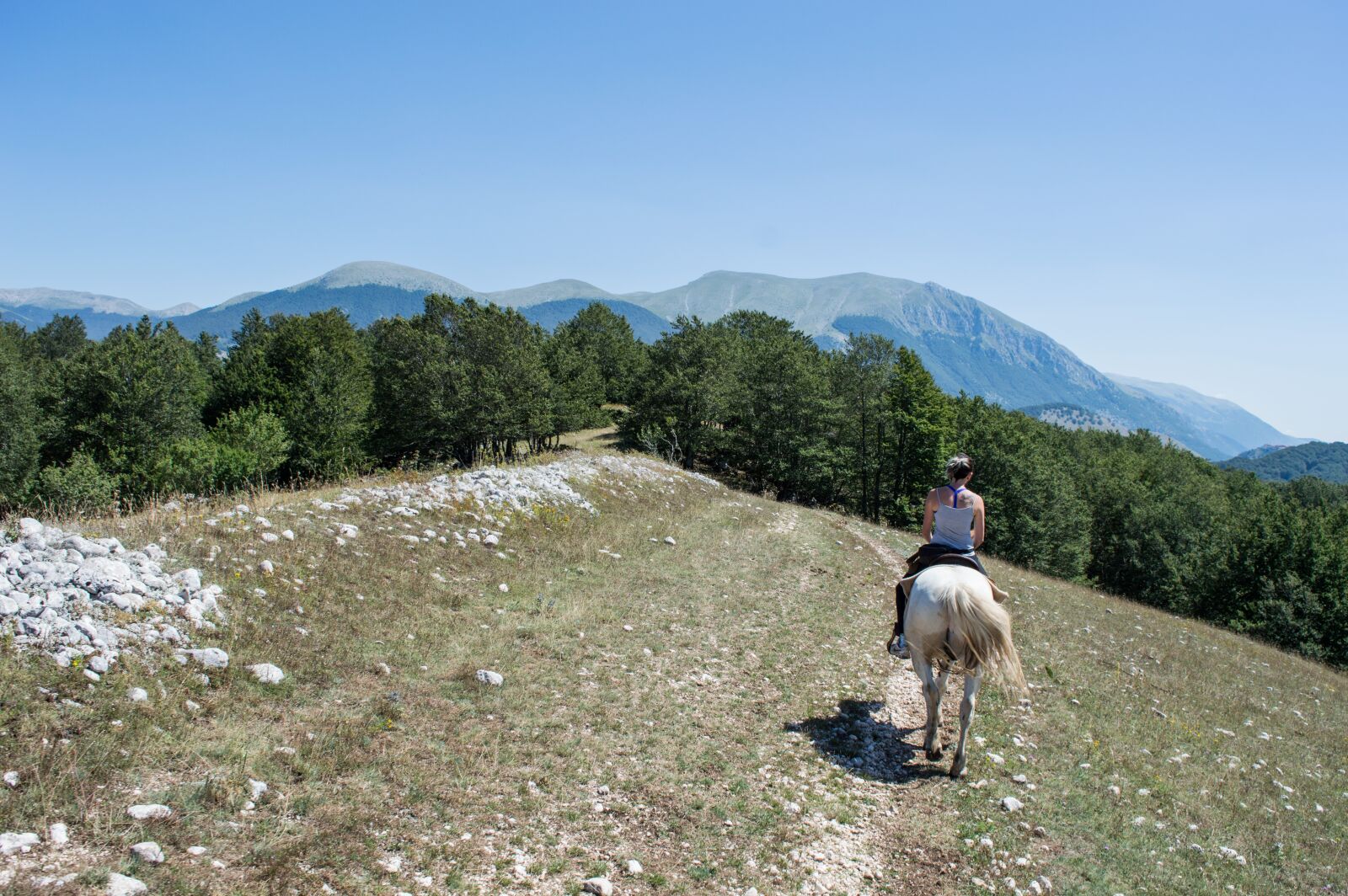 Nikon D3200 sample photo. Horse, horses, mountain photography