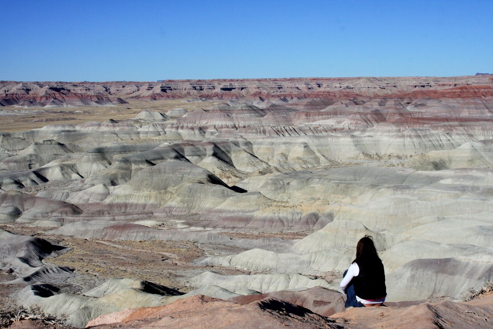 Canon EOS 350D (EOS Digital Rebel XT / EOS Kiss Digital N) sample photo. Meditate, painted desert, arizona photography