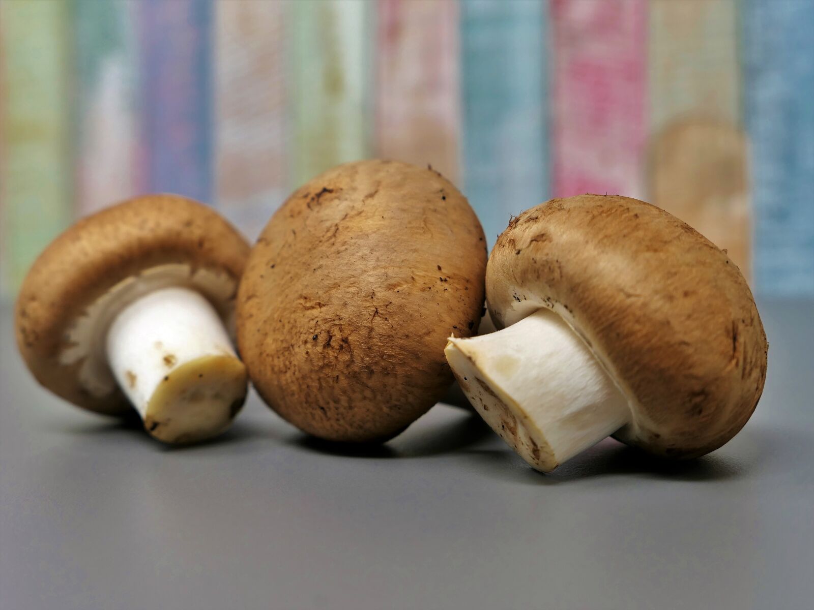 Panasonic Lumix DMC-LX10 (Lumix DMC-LX15) sample photo. Mushroom, egerling, disc fungus photography