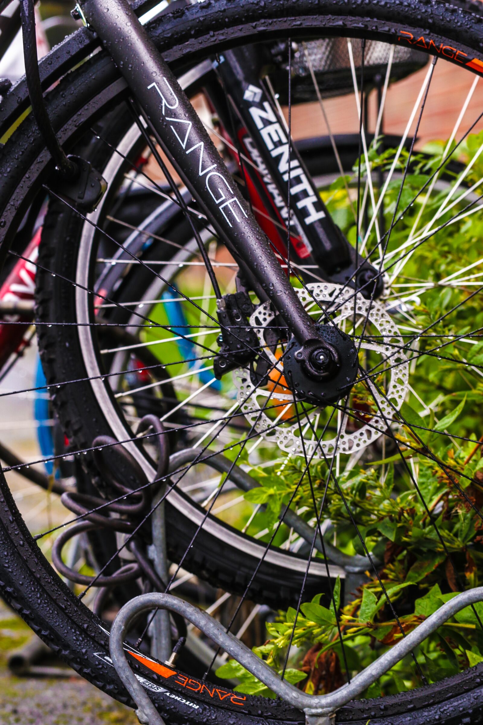 Canon EOS 7D Mark II sample photo. Bicycle, bike, wheels photography