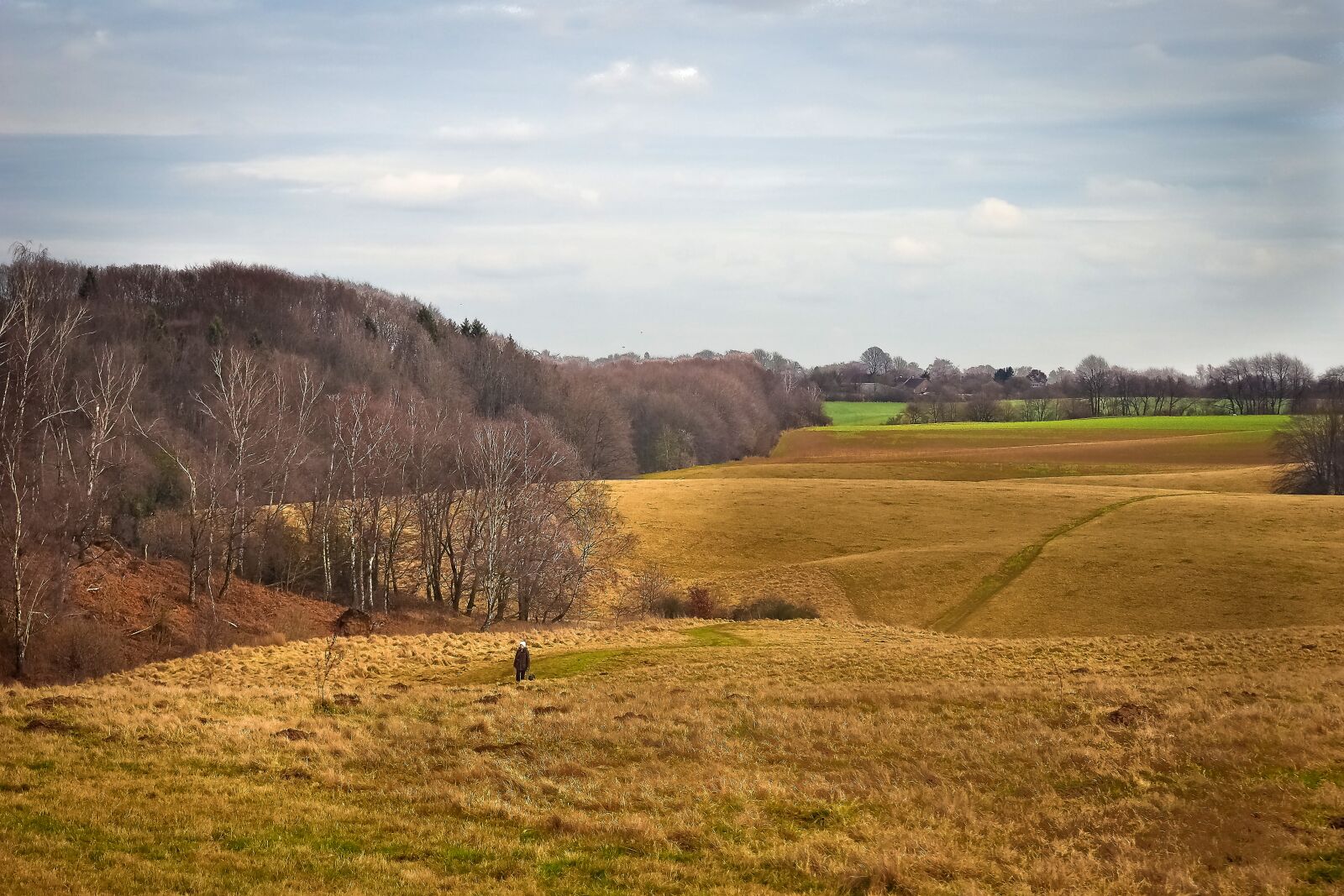 Olympus OM-D E-M10 sample photo. Landscape, nature, meadow photography