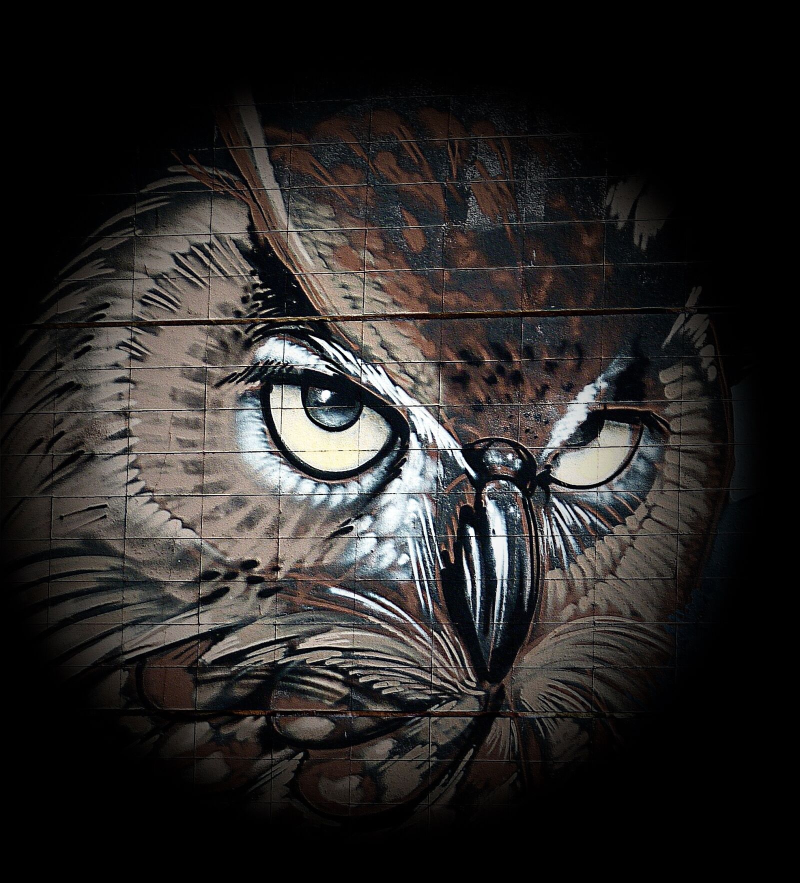 Panasonic Lumix DMC-FZ150 sample photo. Owl, drawing, bird photography