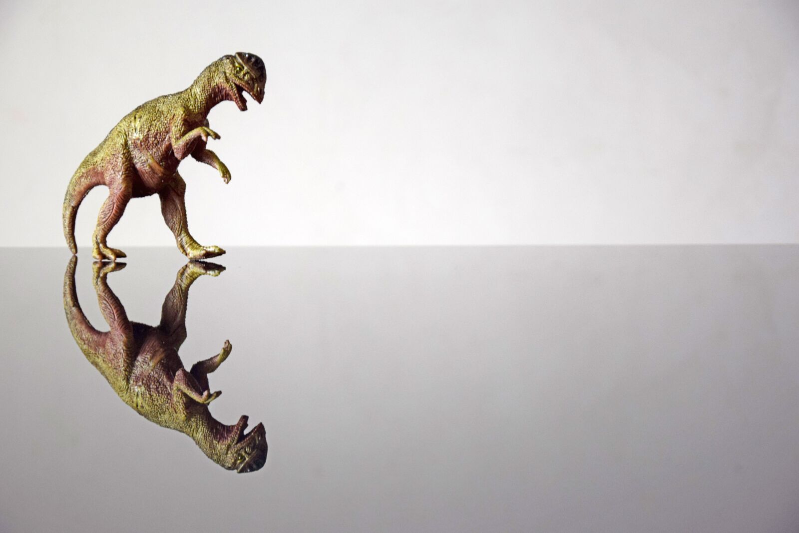 Nikon D3300 sample photo. Dinosaur, mockup, background photography