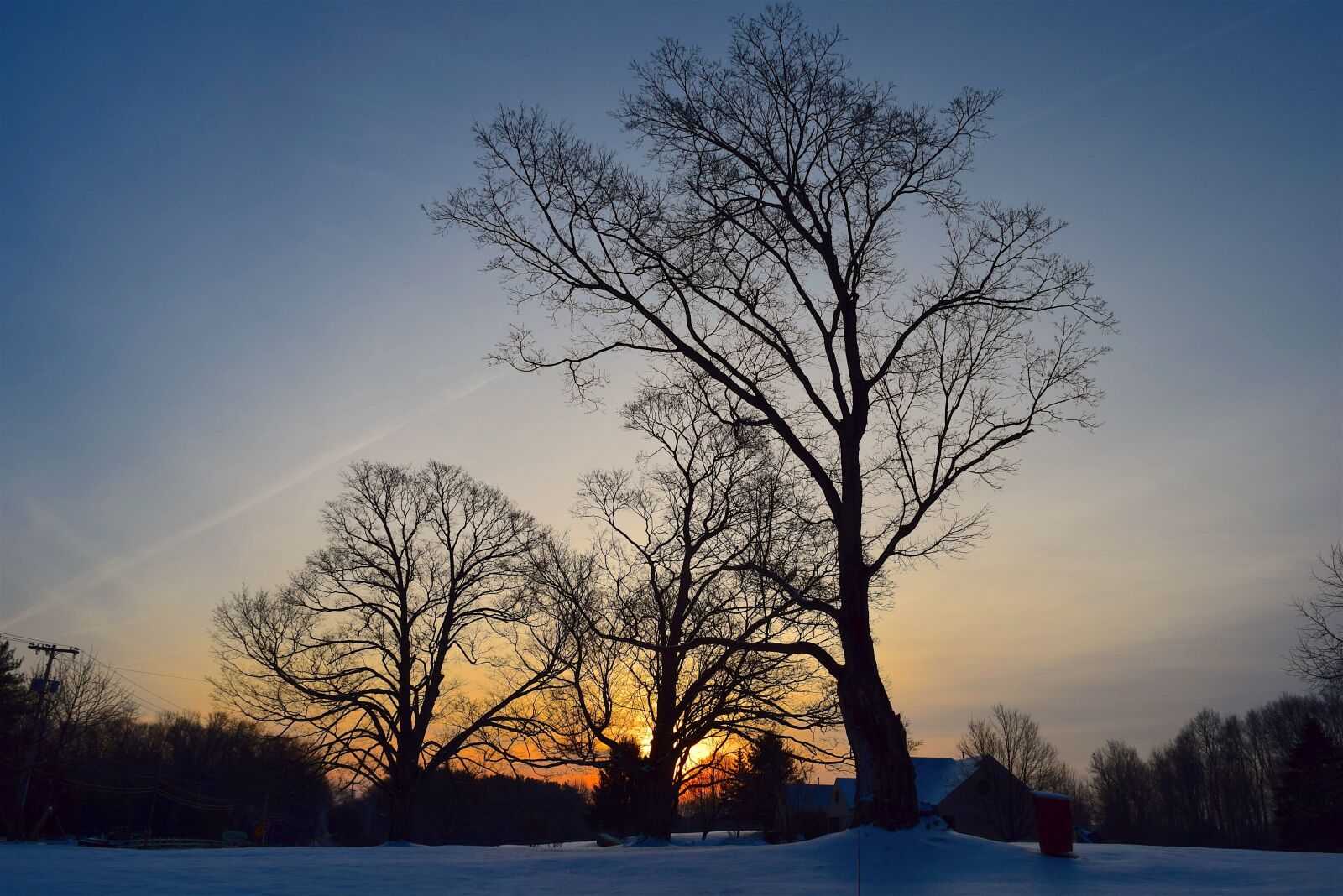 Nikon D3300 sample photo. Trees, dawn, landscape photography