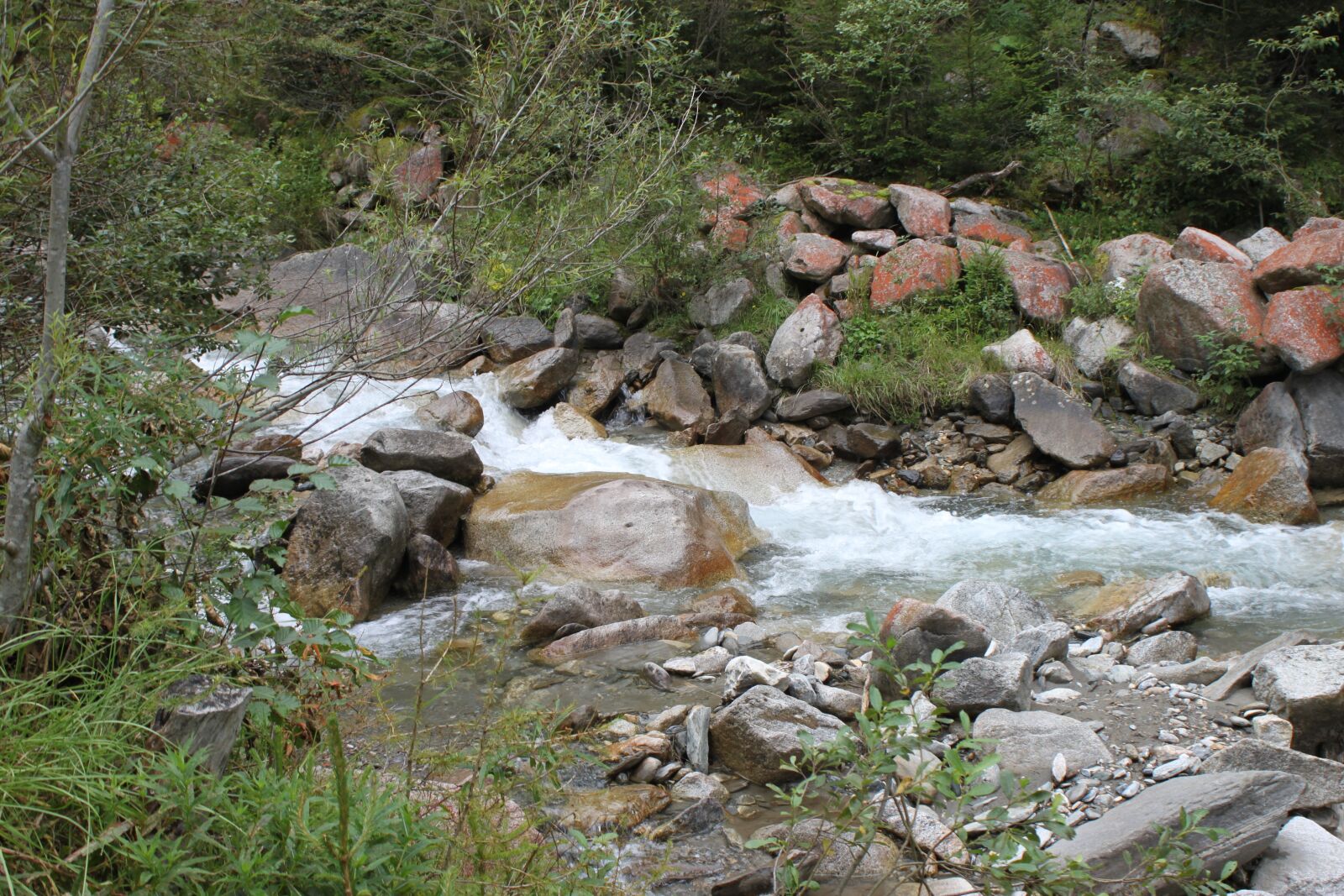 Canon EOS 500D (EOS Rebel T1i / EOS Kiss X3) sample photo. Water-mountain stream, bach, nature photography