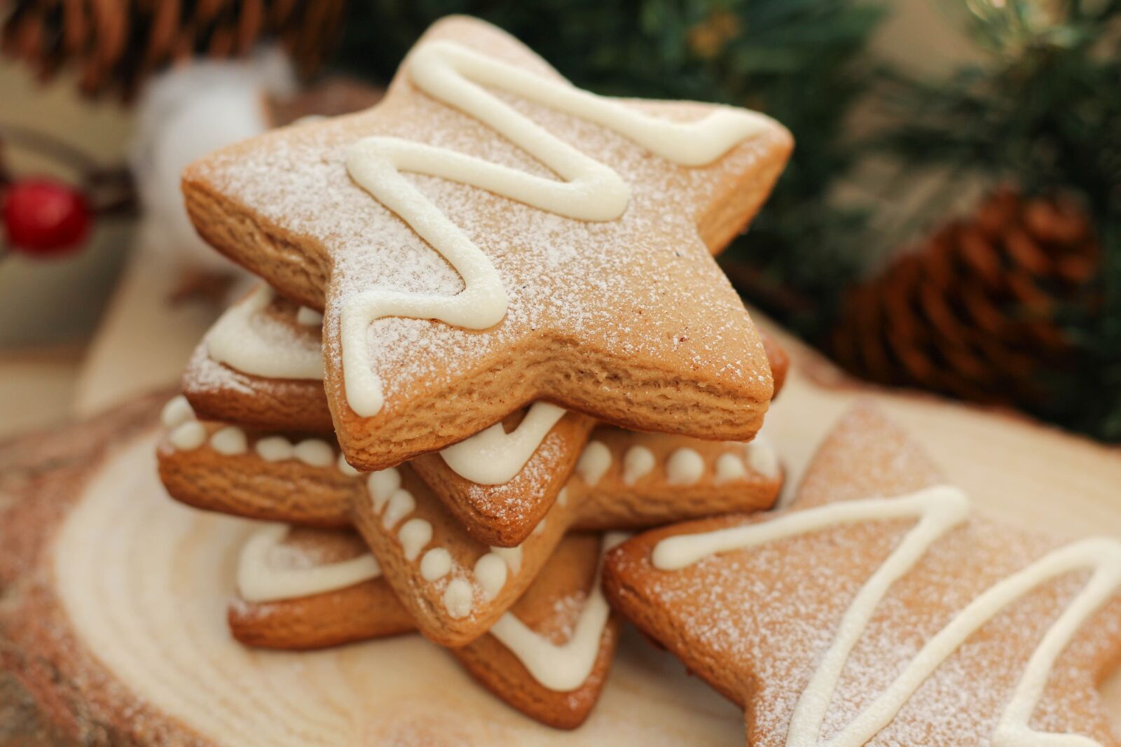 Canon EOS 1200D (EOS Rebel T5 / EOS Kiss X70 / EOS Hi) + Canon EF 50mm F1.8 STM sample photo. Ginger, gingerbread, cookies photography