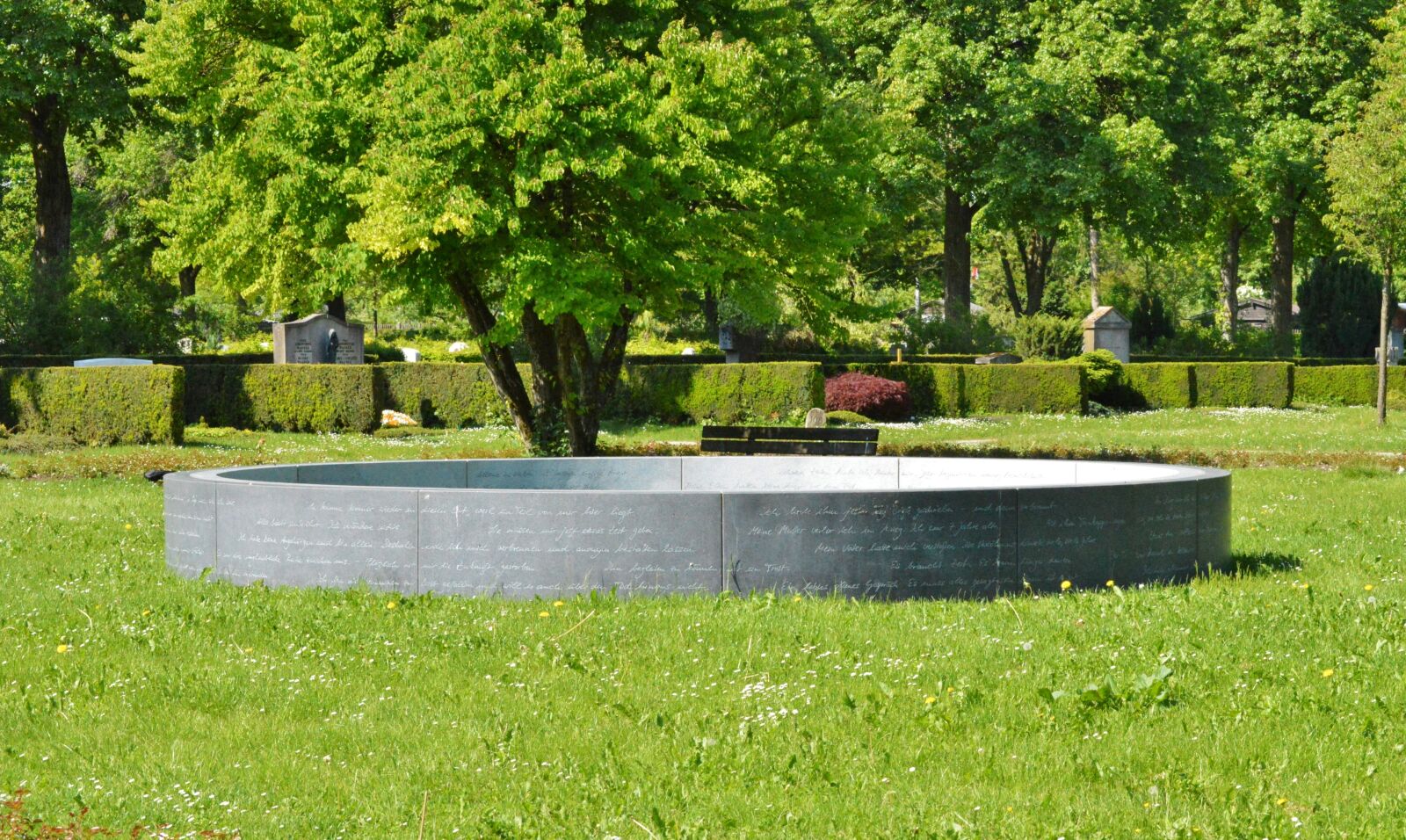 Nikon D3200 sample photo. Art, artwork, creativity photography