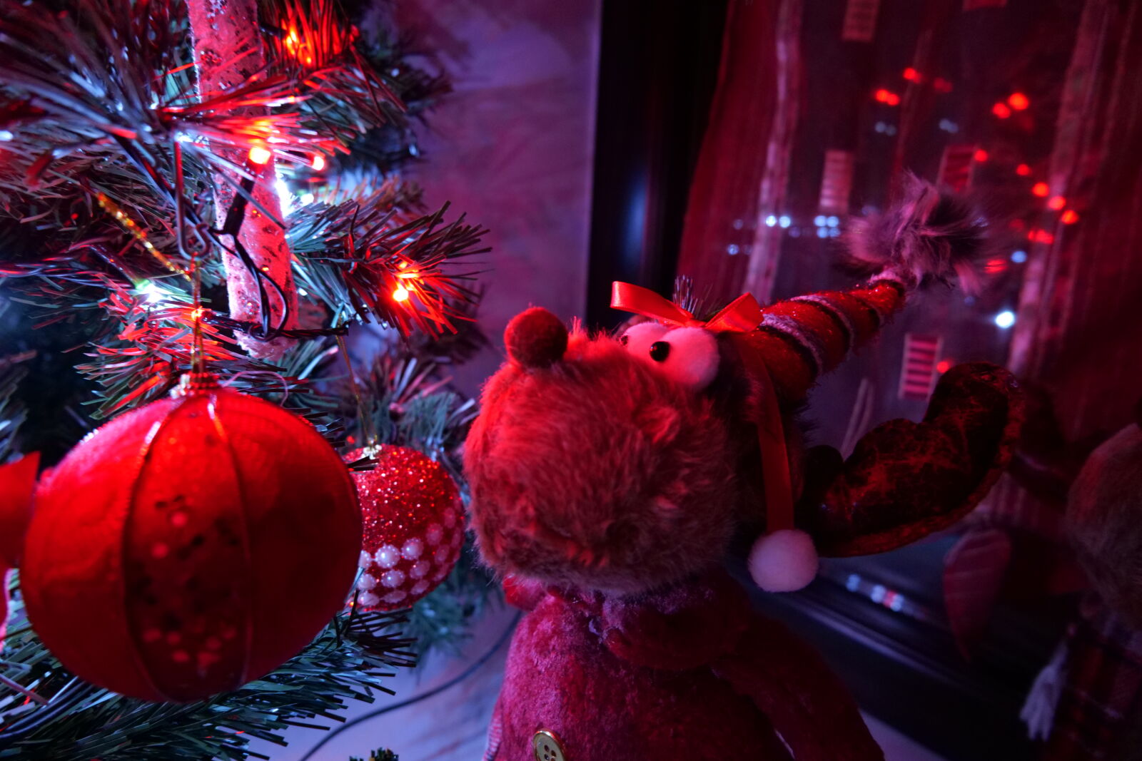 Panasonic DC-S5D sample photo