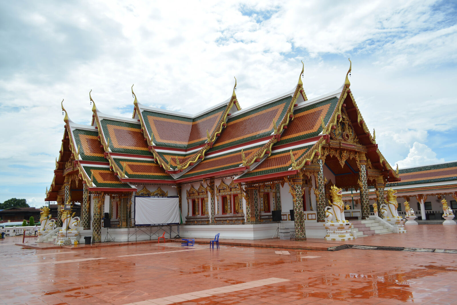 Nikon D5200 sample photo