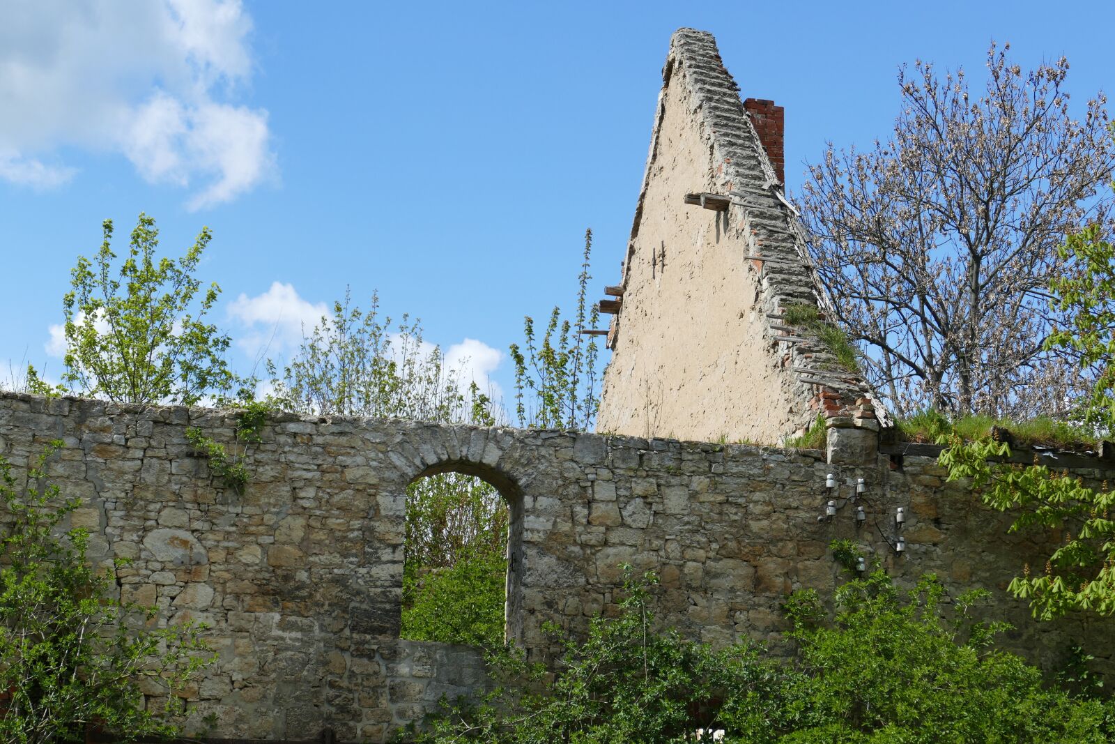 Panasonic Lumix DMC-FZ1000 sample photo. Ruin, decay, growth photography