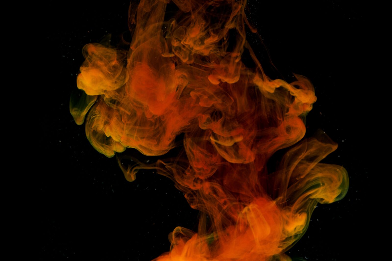 Sigma 85mm F1.4 DG HSM Art sample photo. Ink, water, red photography