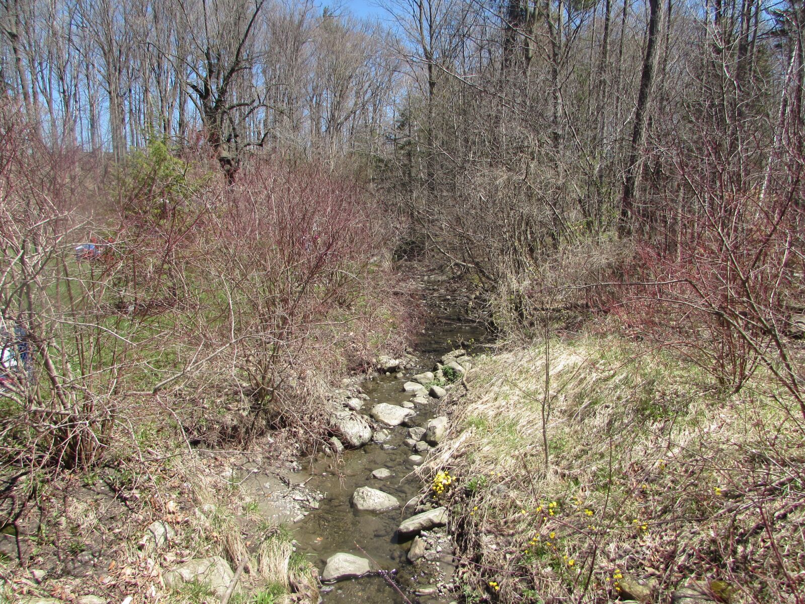 Canon PowerShot SX510 HS sample photo. Nature, spring, stones photography