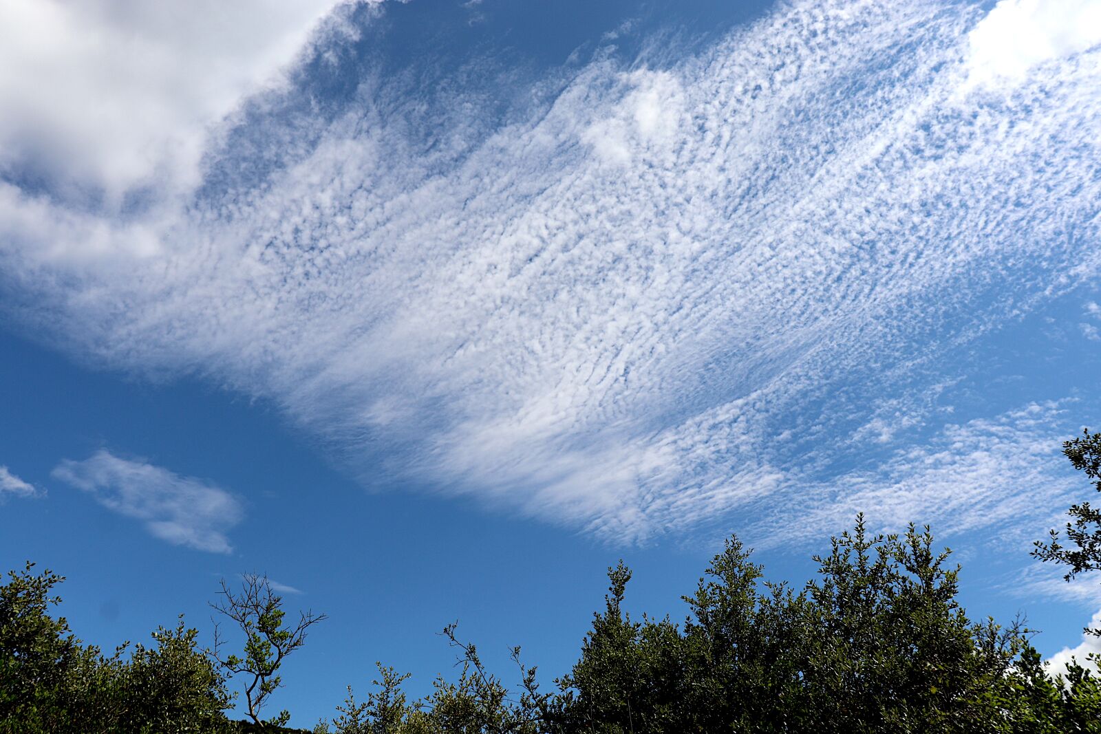 Canon EOS 800D (EOS Rebel T7i / EOS Kiss X9i) sample photo. Clouds, sky blue, landscape photography