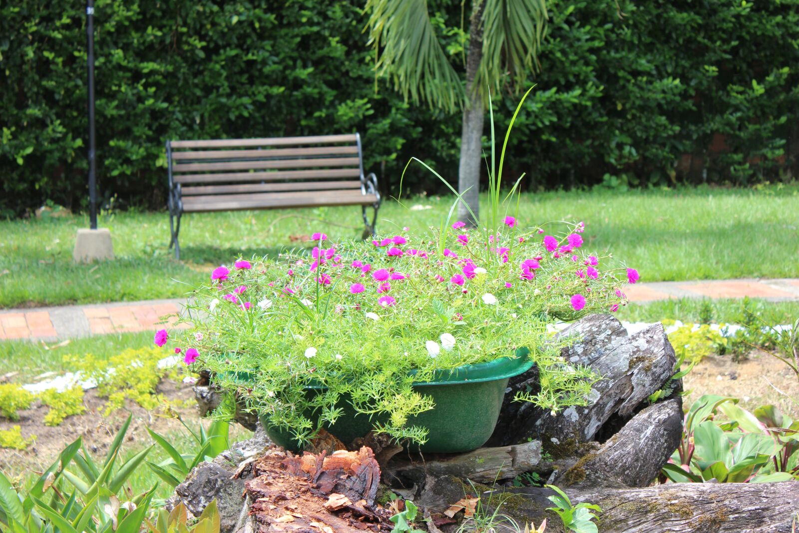 Canon EOS 600D (Rebel EOS T3i / EOS Kiss X5) sample photo. Garden, peaceful, silence photography
