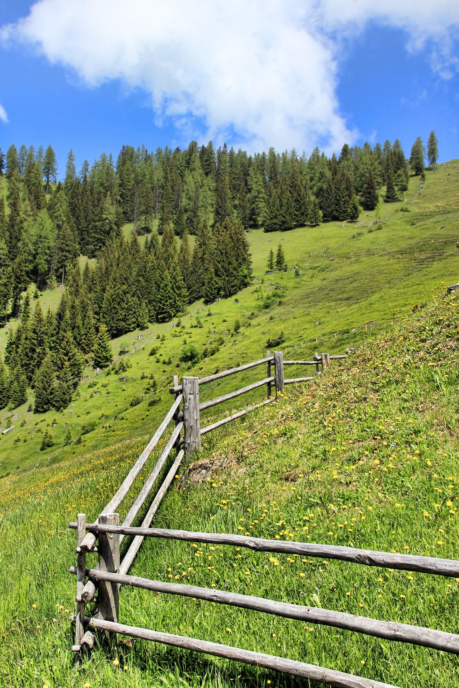 Canon EOS 550D (EOS Rebel T2i / EOS Kiss X4) sample photo. Alm, fence, mountain photography