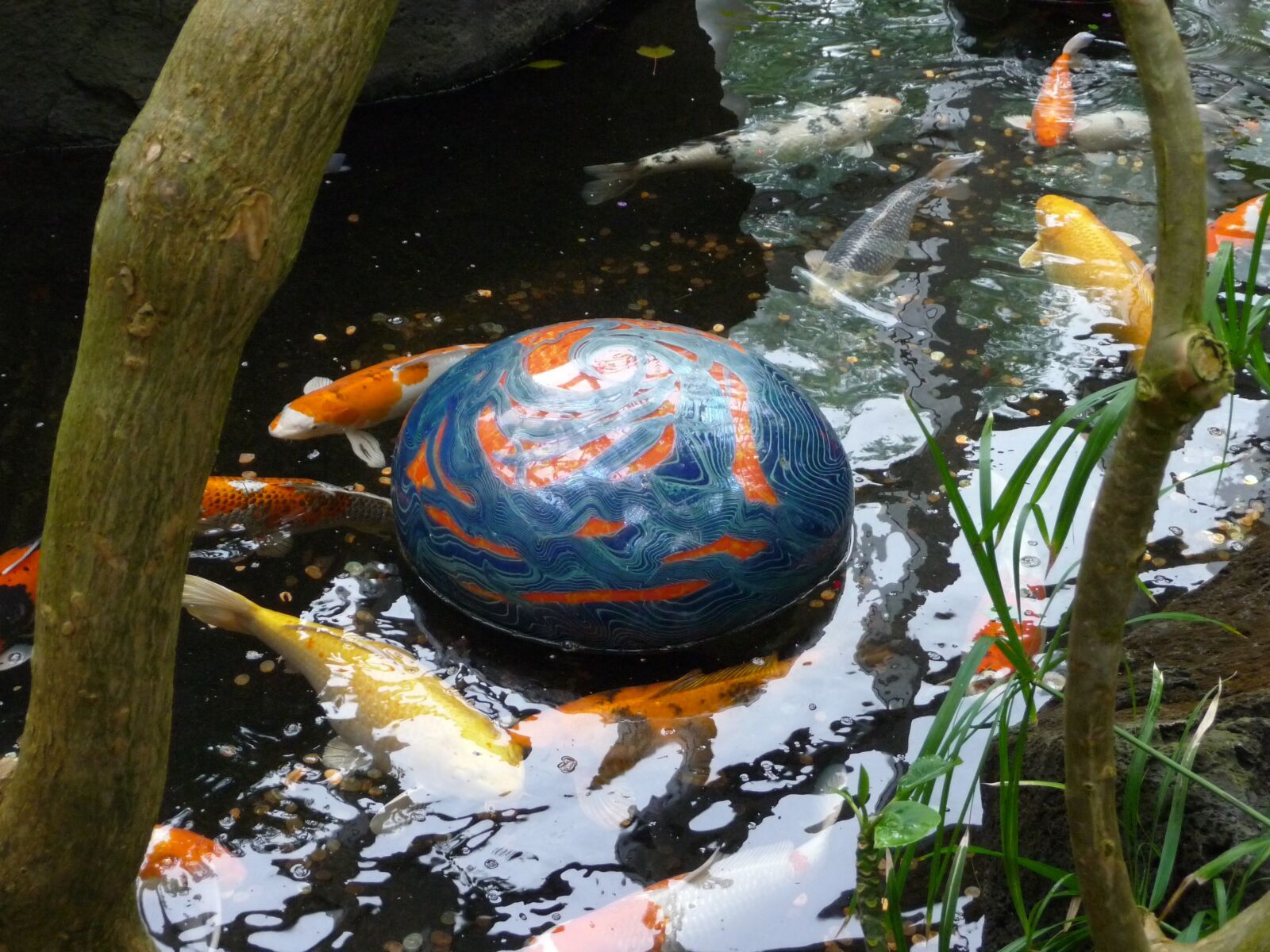 Panasonic Lumix DMC-TZ5 sample photo. Koi, chihuly, glass photography