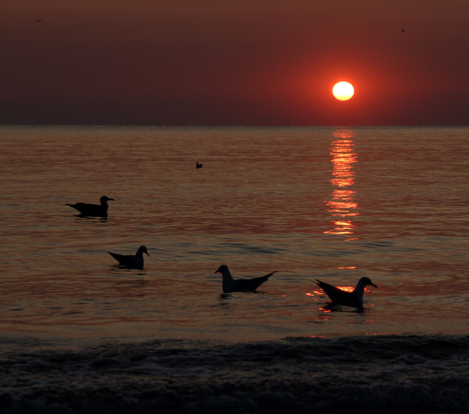 Canon EOS 700D (EOS Rebel T5i / EOS Kiss X7i) sample photo. Sunrise, great, water photography
