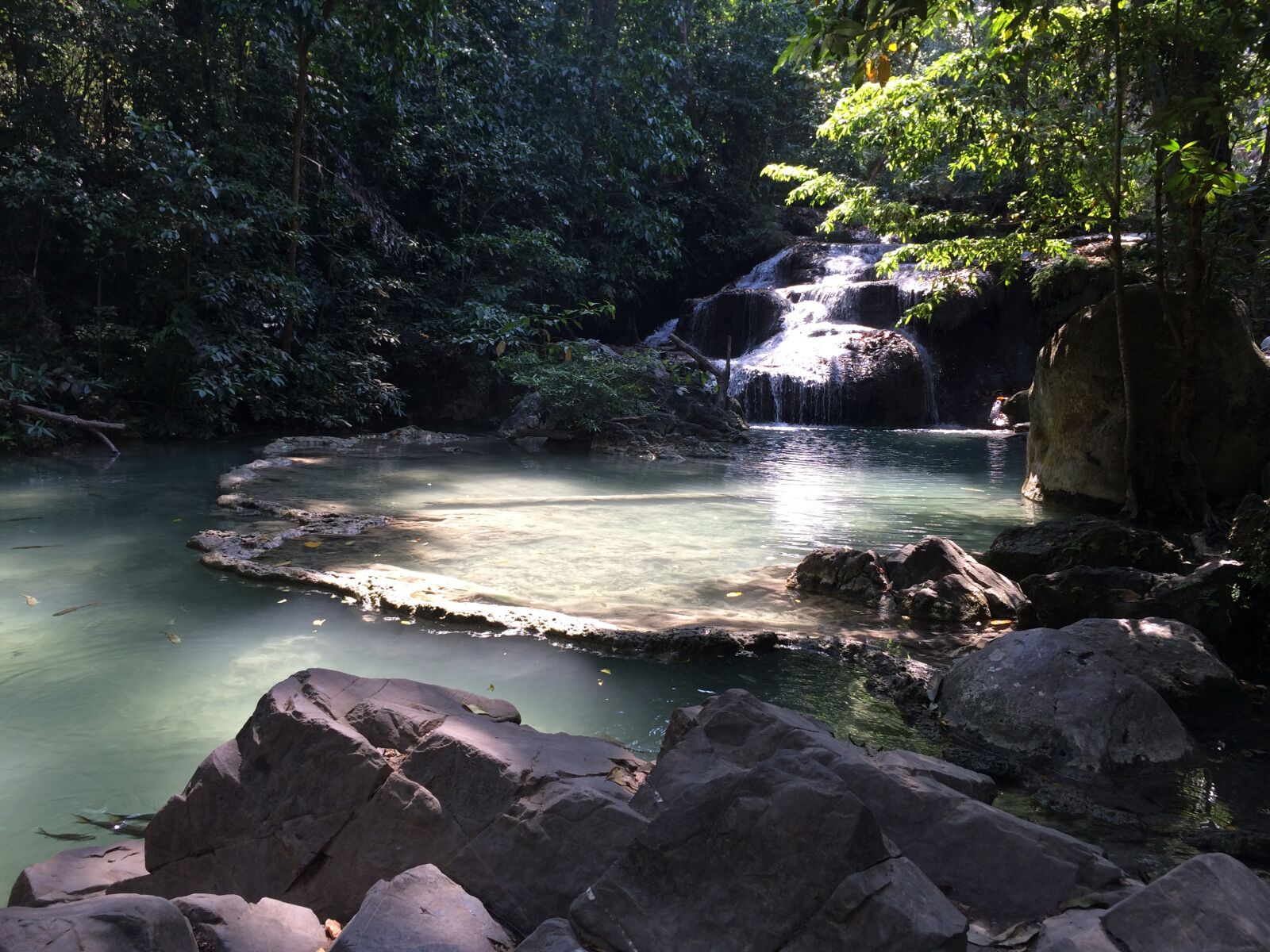 Apple iPhone 5s sample photo. Forest, waterfall, wood photography