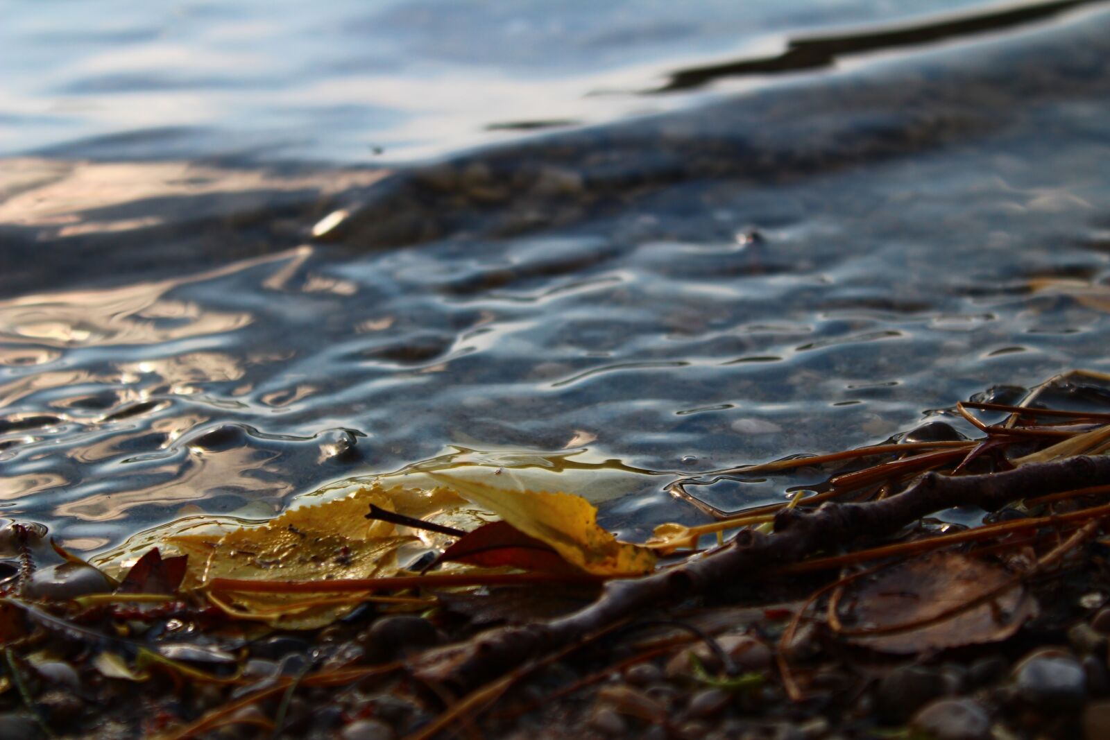 Canon EOS 1300D (EOS Rebel T6 / EOS Kiss X80) sample photo. Bank, water, stones photography