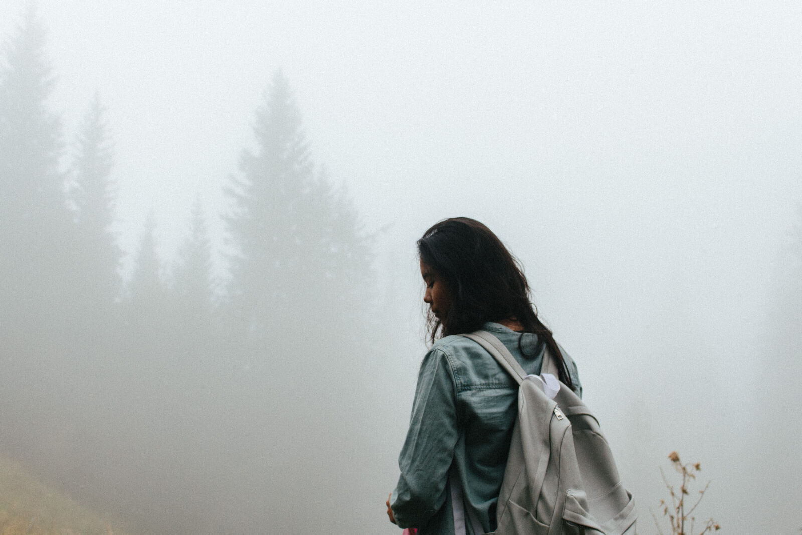 Canon EOS 700D (EOS Rebel T5i / EOS Kiss X7i) sample photo. Adventure, fog, foggy, forest photography