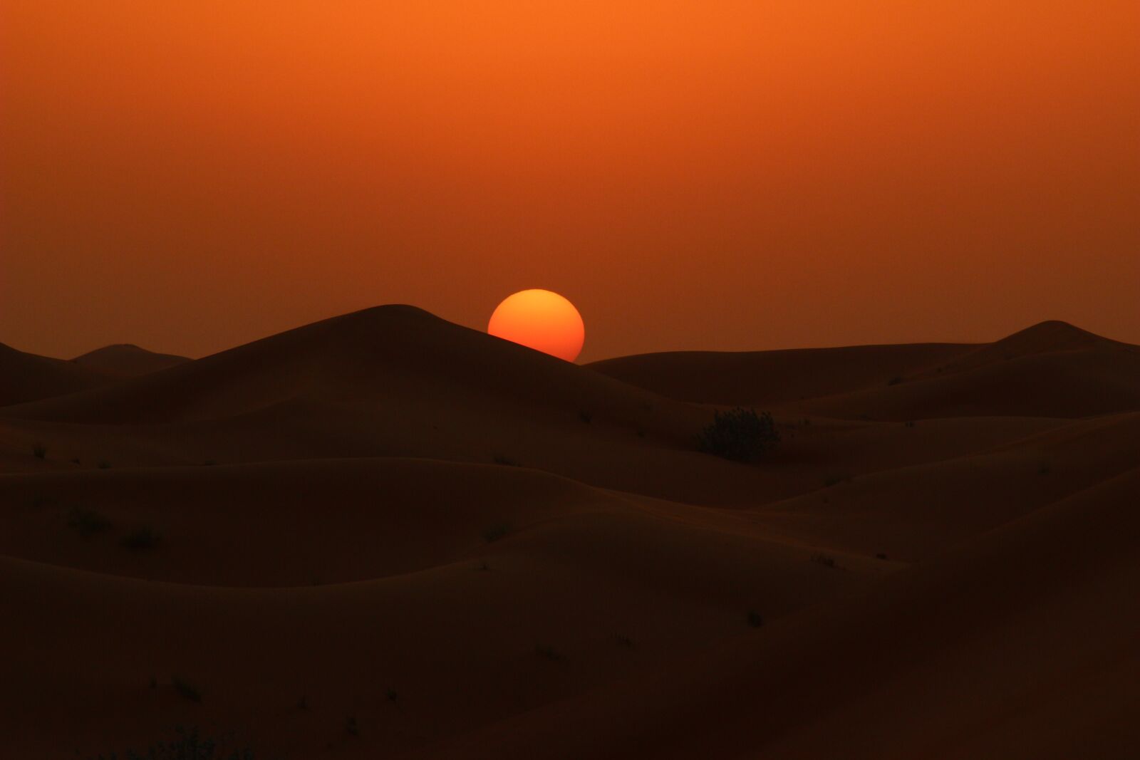 Canon EOS 100D (EOS Rebel SL1 / EOS Kiss X7) sample photo. Sunset, desert, dawn photography
