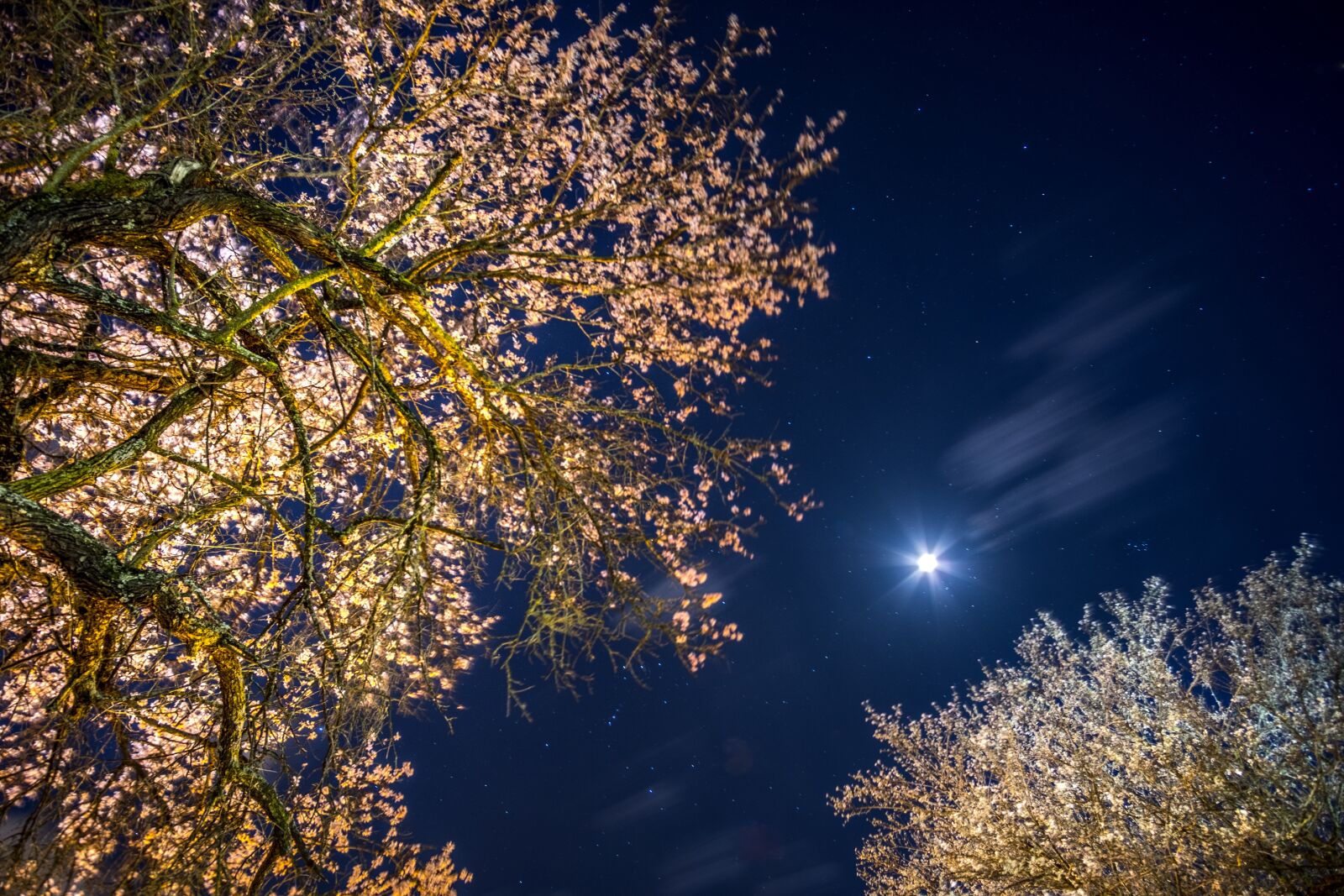 Fujifilm X-T20 sample photo. Sky, moon, night photography