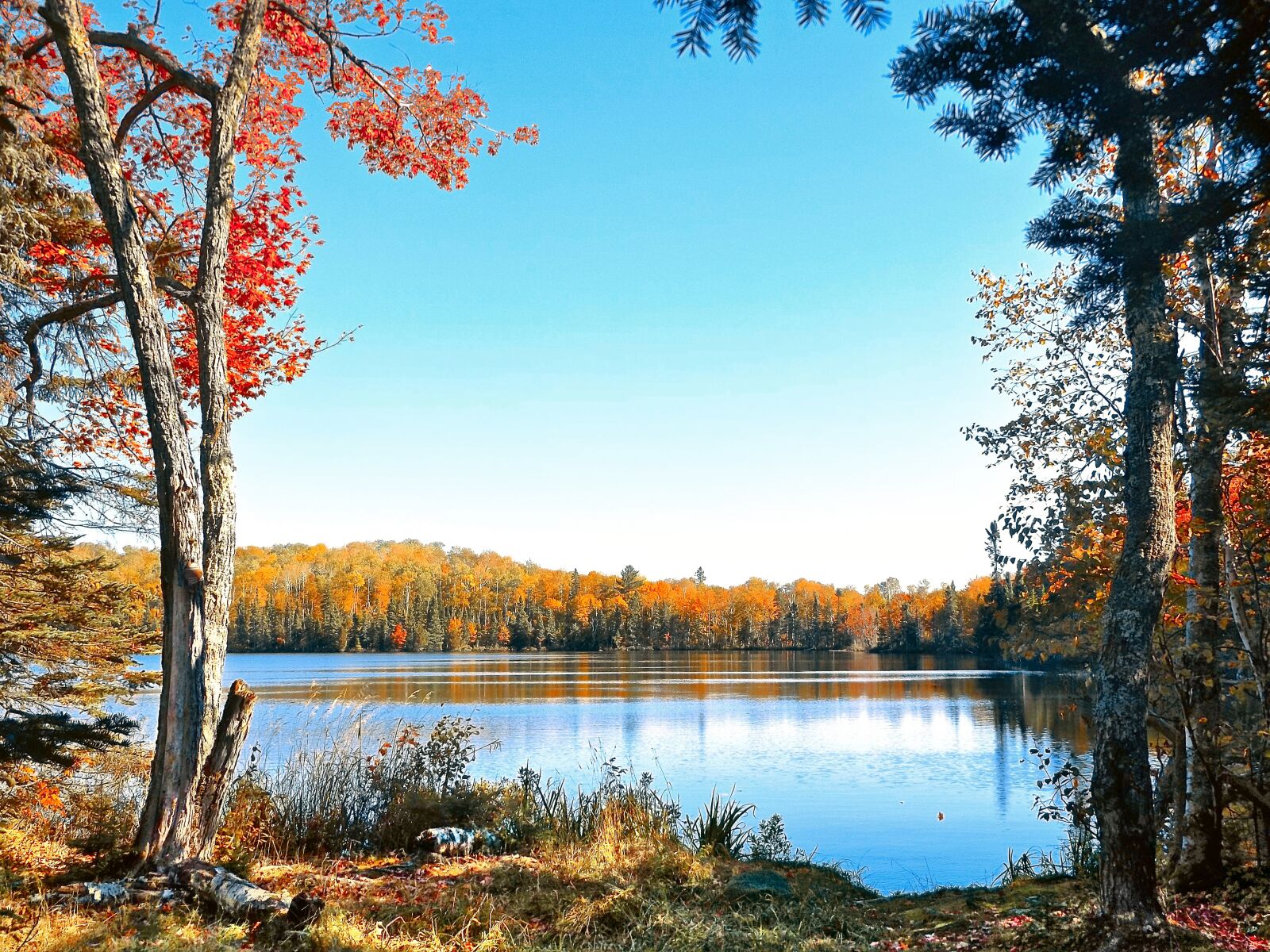 Fujifilm FinePix S8600 sample photo. Autumn, water, lake photography